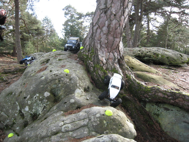 sortie à Fontainebleau Rando-020308